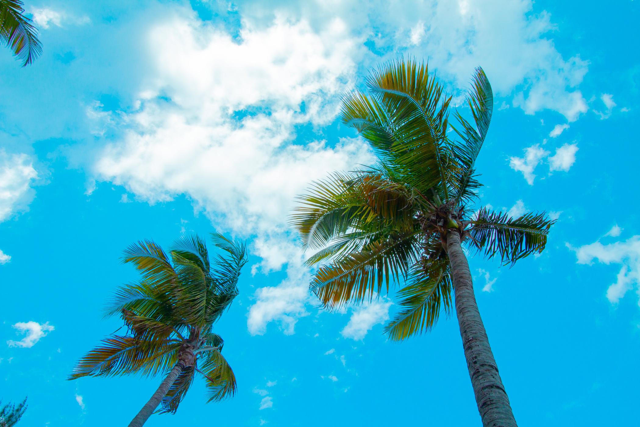 Tryp By Wyndham Isla Verde San Juan Luaran gambar