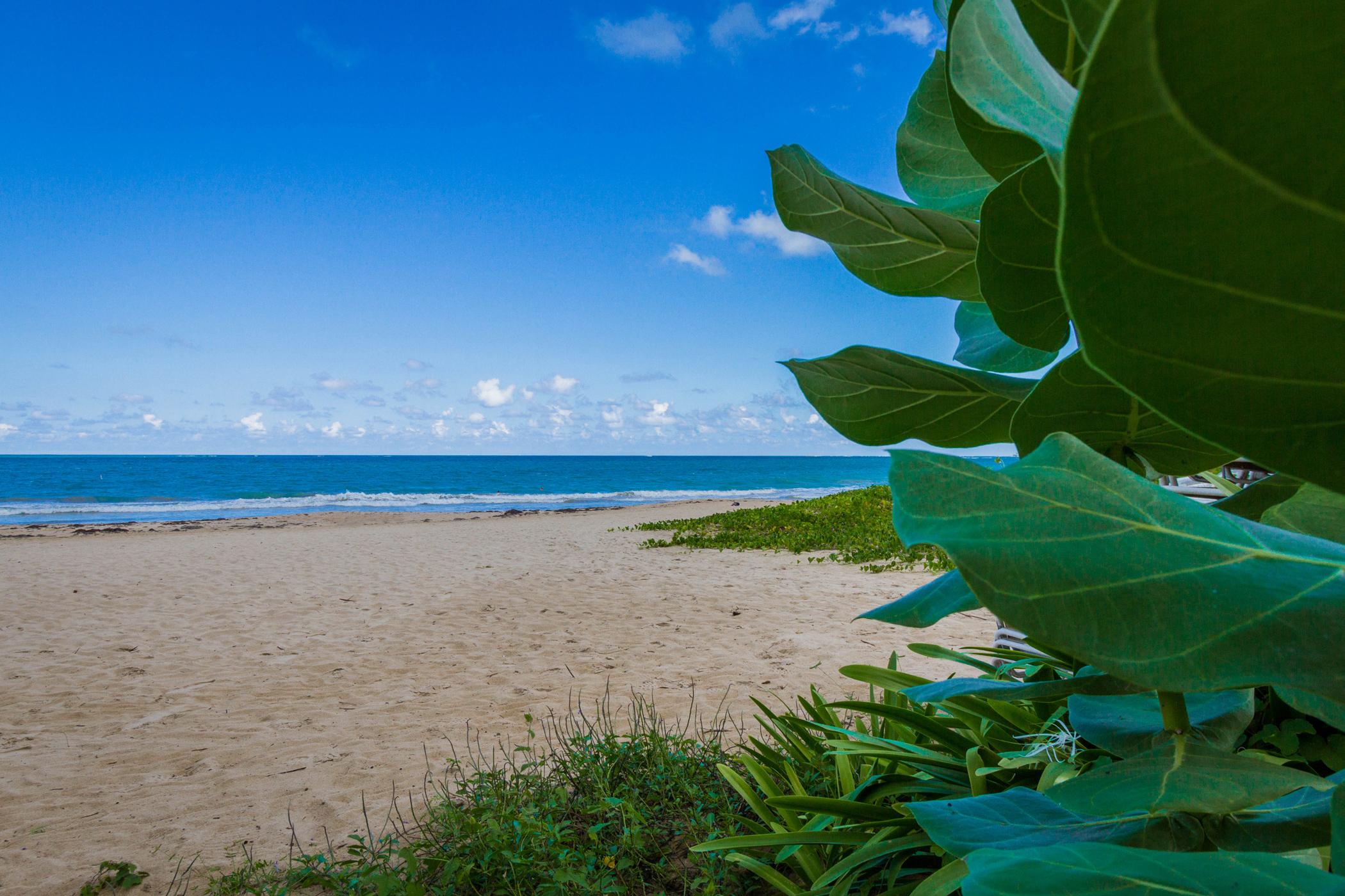 Tryp By Wyndham Isla Verde San Juan Luaran gambar